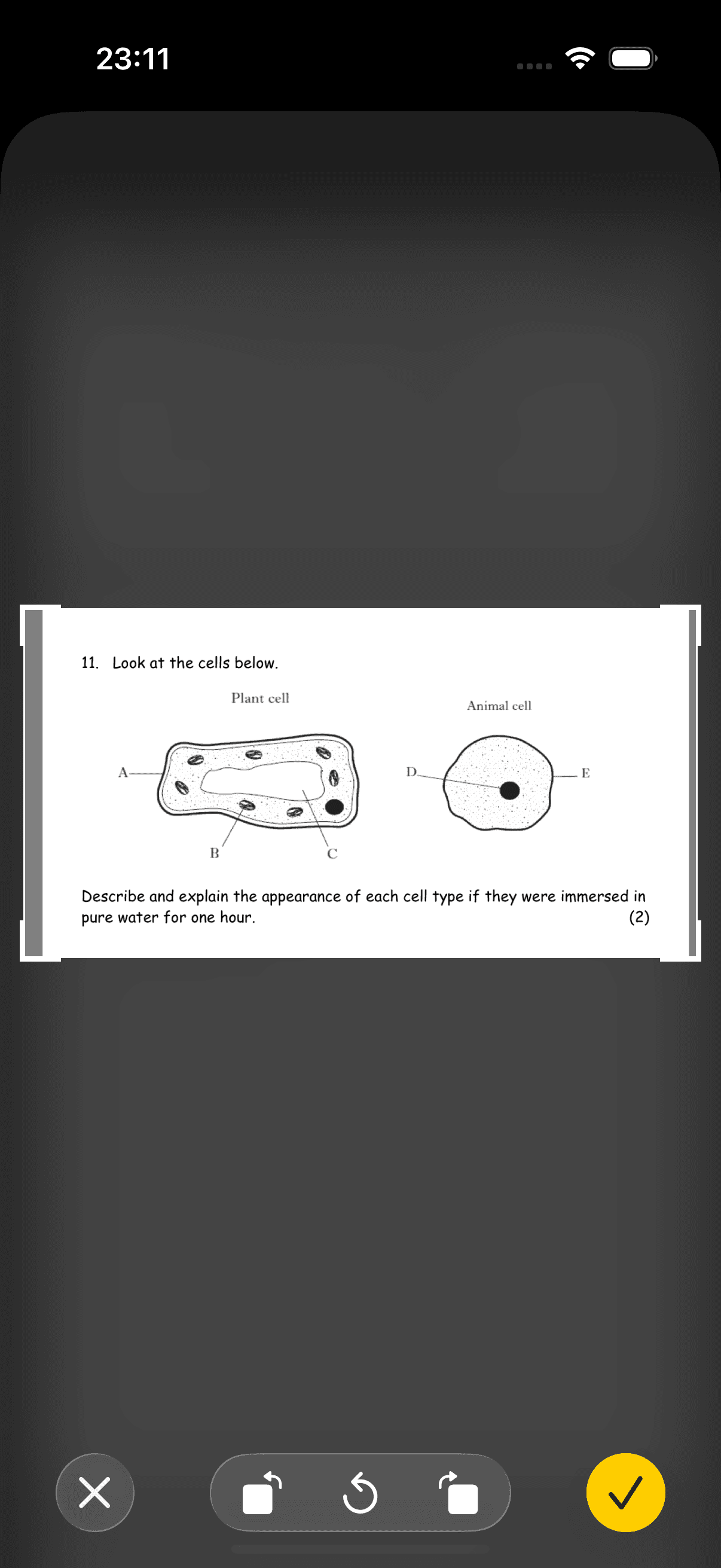 Problem Scanning
